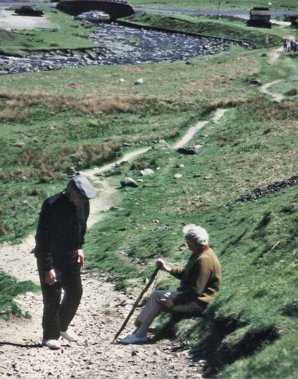 grey mares trail and waterfall with sheep